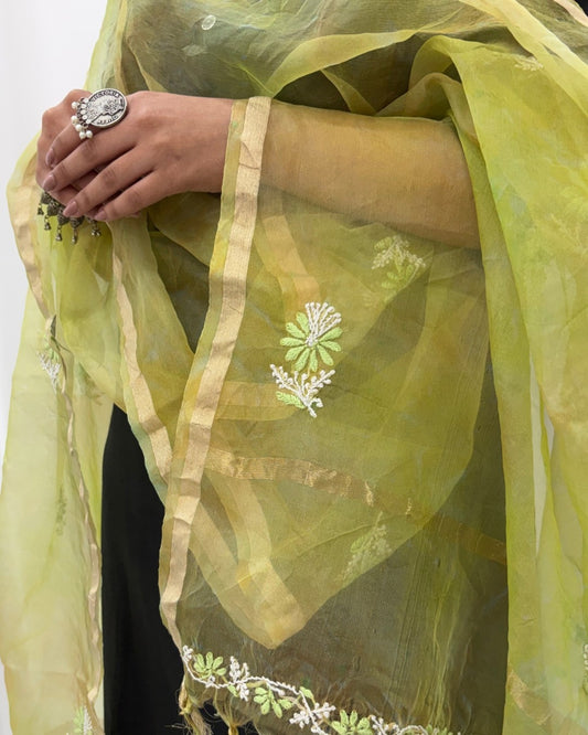 lucknowi chikankari green organza silk dupatta