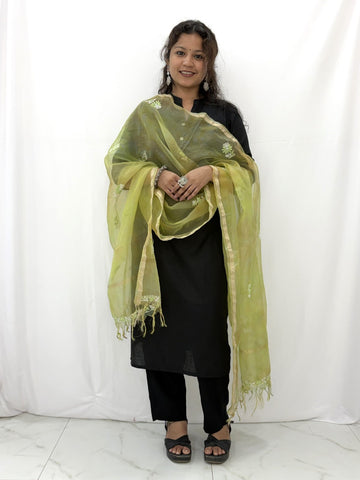 lucknowi chikankari green organza silk dupatta